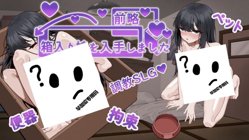 前略，我终于入手了一个盒中少女-摸鱼茶话会